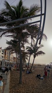 GC-Paseo Las Canteras (Las Palmas) 2026-155.jpg
